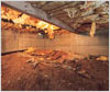 Crawl Space Jacks